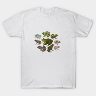 For the Love of Frogs T-Shirt